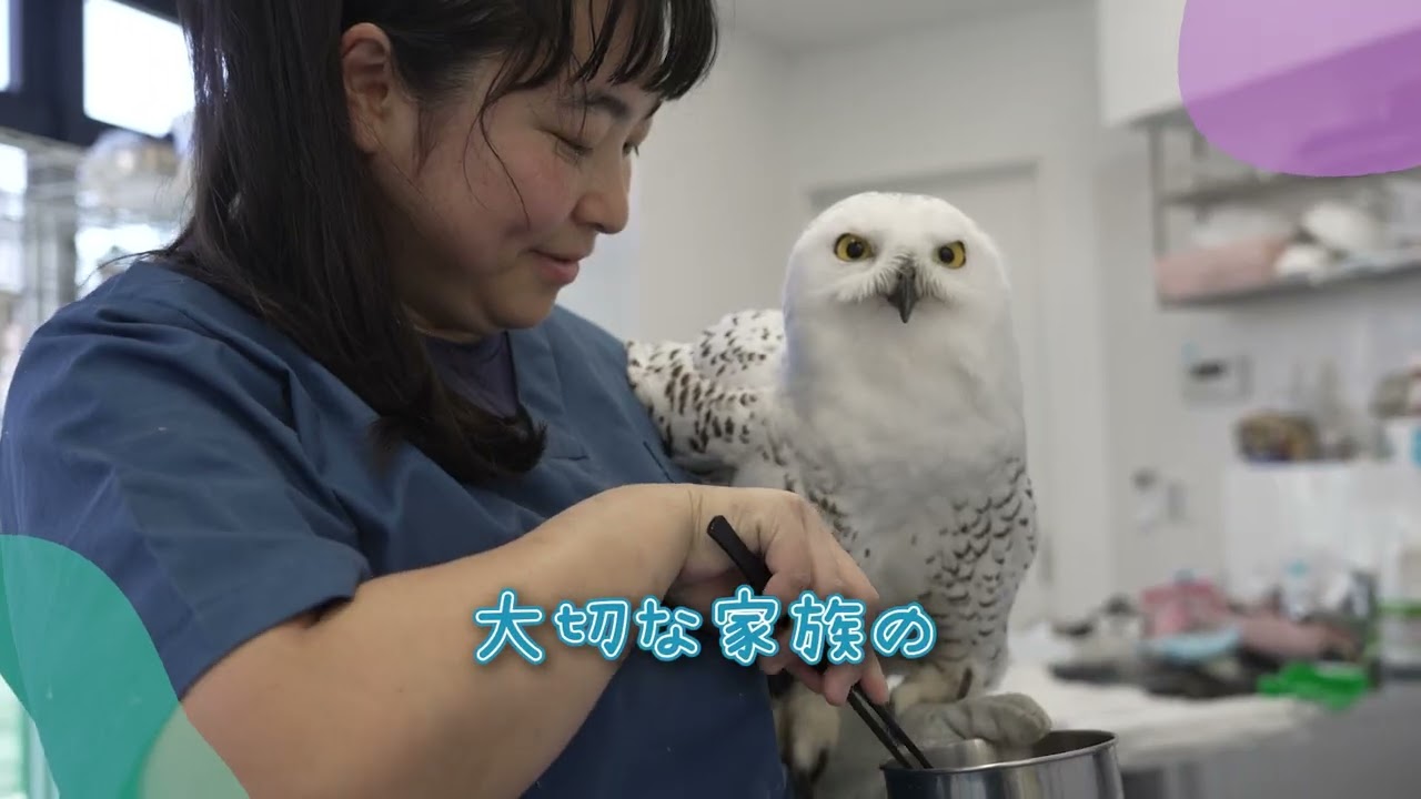 東京都荒川区で動物病院なら”動物病院 キバタン王国” A