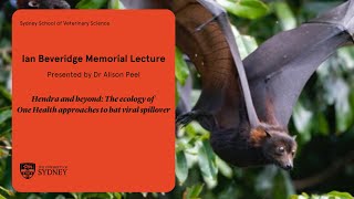 Ian Beveridge Memorial Lecture 2024 presented by Dr Alison Peel