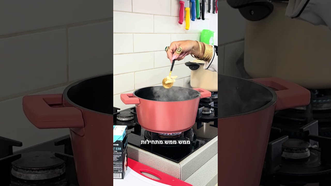 סיר פסטה 24 ס"מ | 5 ליטר EVERYDAY PLUS מבית Food Appeal🍝