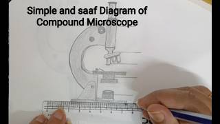 Simple and saaf Diagram of Compound Microscope / Step by step Drawing for Beginners/ How to Draw