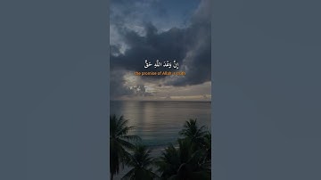 يَا أَيُّهَا النَّاسُ اتَّقُوا رَبَّكُمْ وَاخْشَوْا يَوْمًا 🌷🕋🌷 #محمد_اللحيدان #سورة_لقمان