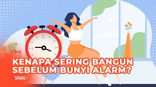 Download Bangun Tidur Sebelum Alarm Bunyi, Apa Penyebabnya? Video MP3 Bangun Tidur Sebelum Alarm Bunyi, Apa Penyebabnya?