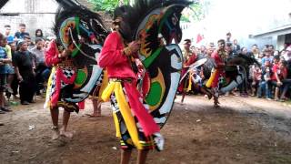 Maron bawono tari celeng