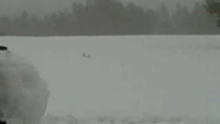 Black Forest Snowman - Part 3