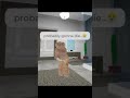 I swallowed shampoo 😭💔 | #brookhaven #blookhaven #robloxshorts #brookhavenfunny #bff