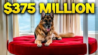 10 Richest Pets In History