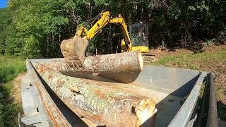 Getting Logs From The Woods To Sawmill