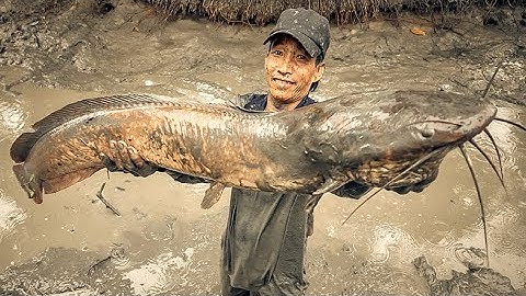 Giao lưu kênh " Dân Lục Tỉnh " bắt cá khủng lâu năm | Gấc Quê