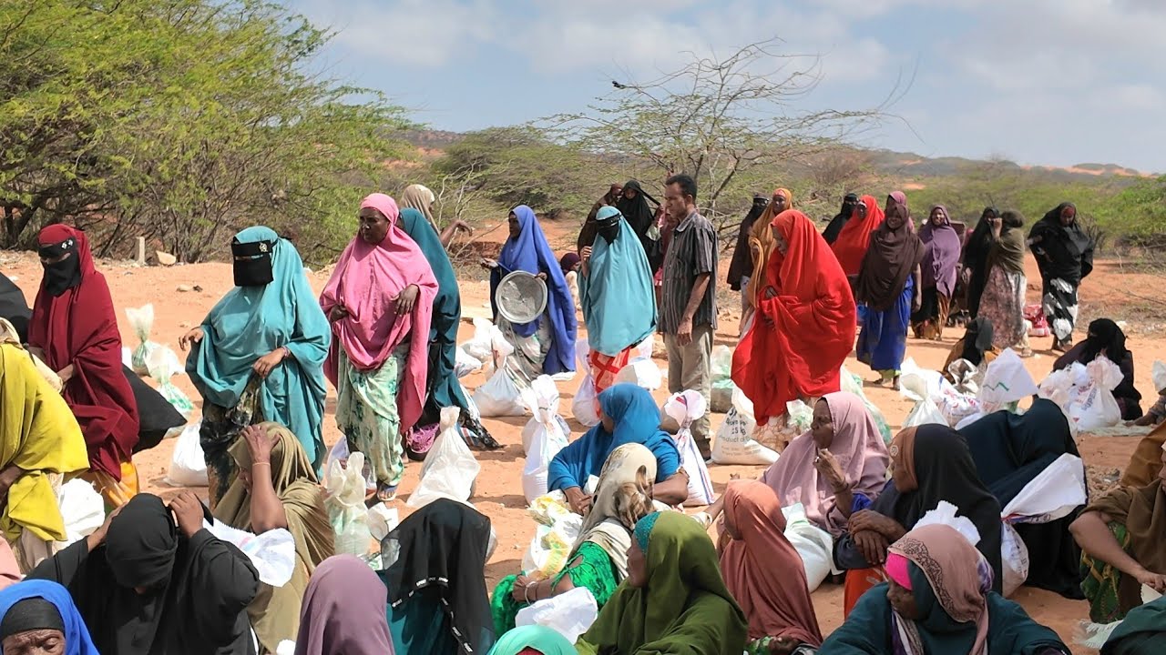Сегодня, в месяц Рамадан, наши турецкие братья доставили продукты питания нуждающимся матерям.