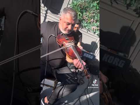 AKLI YOK FİKRİ
