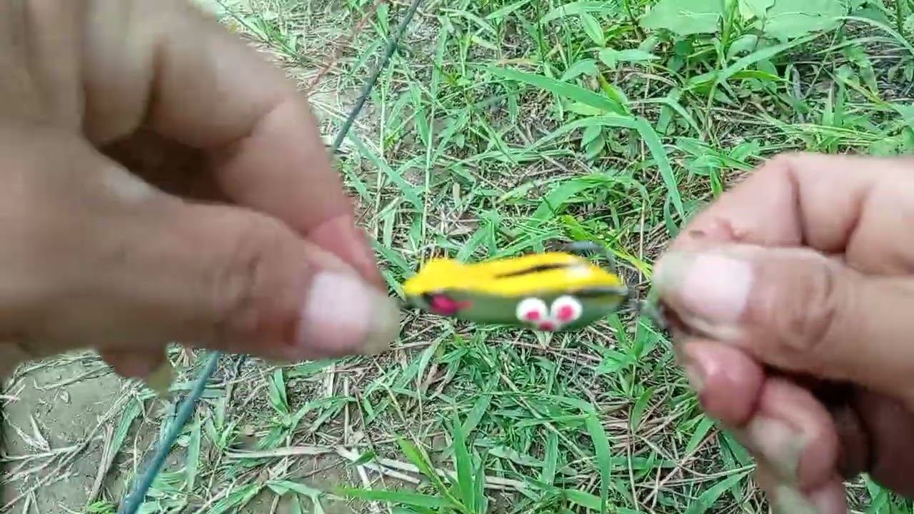 Spot lama ikan nya baru semua, alhamdulillah masih gacor