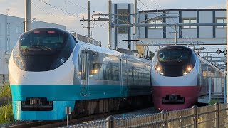 ｸﾞﾘｰﾝﾚｲｸ×ｽｶｰﾚｯﾄﾌﾞﾛｯｻﾑ 特急ひたち13号・26号 新地駅列車交換 9/12