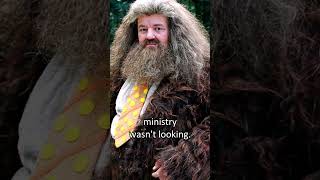 The Tragic Truth of Rubeus Hagrid