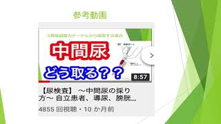 尿検査の種類、採取方法、基準値、注意点について解説！