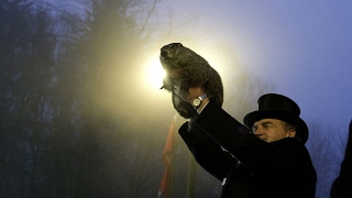 A Catholic connection to Groundhog Day HD video Image of A Catholic connection to Groundhog Day HD video