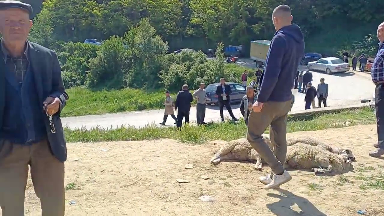 Albanien Radreisen. Viehmarkt in Stadt Pogradec. www.albanien-reiseagentur.de