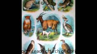 Leviticus Chapters 11-15 Part 3