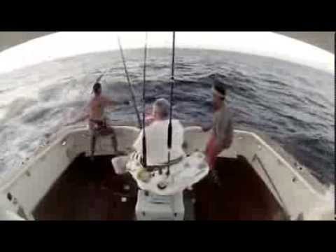 Funny Big Game Fishing