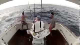 Funny Big Game Fishing