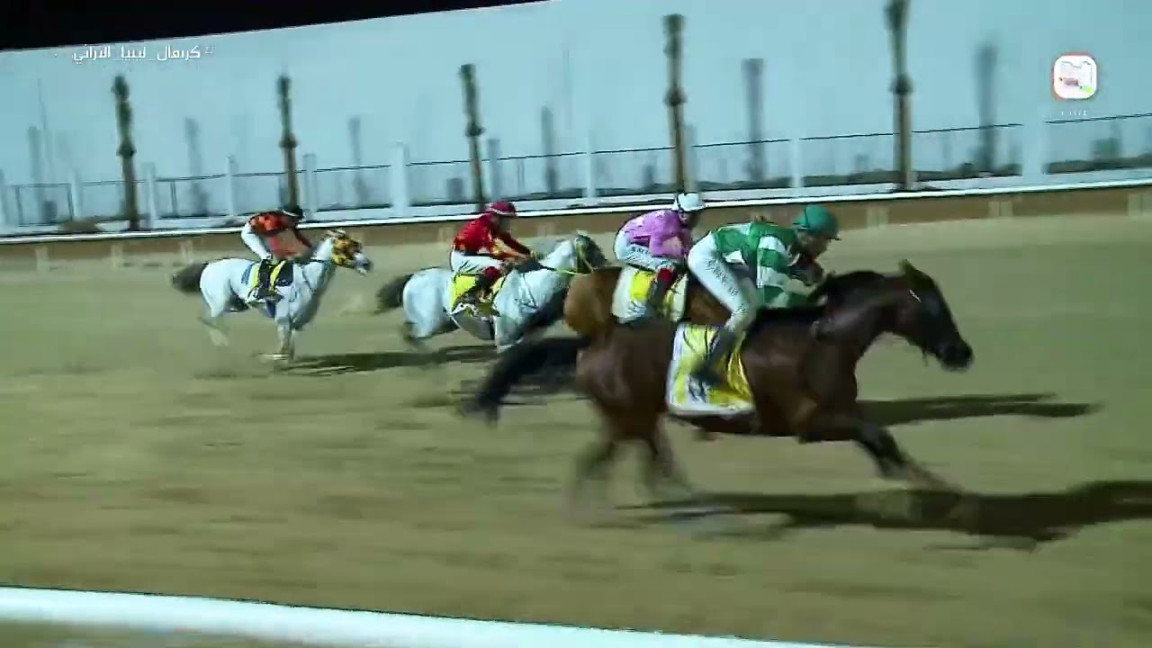 اليوم الثاني 