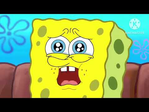 Patrick that's a Bro