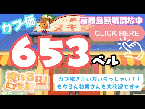 カブ価653ベル 島開放中！ あつまれどうぶつの森