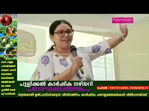 VBC NEWS THODUPUZHA 28 07 2026