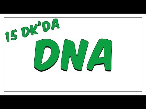 15dk'da DNA