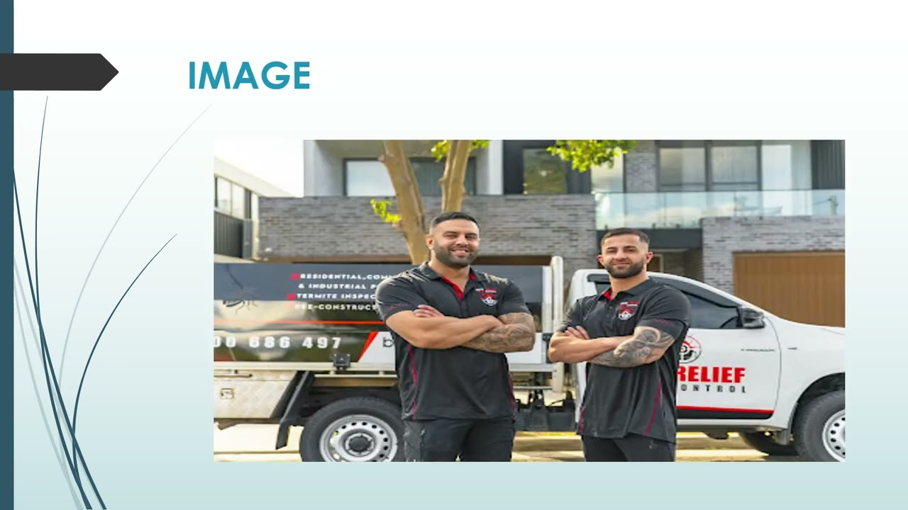 Termite Control Solutions: Keeping Your Home Safe in Warwick Farm.