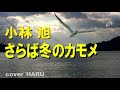 「さらば冬のカモメ」小林旭 cover HARU
