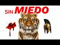 En 48 segundos ELIMINARÁS tu MIEDO al FRACASO