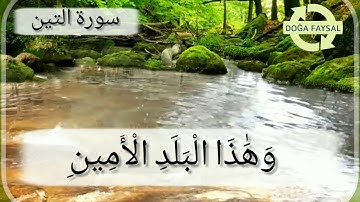 سورة التين مكررة للأطفال للحفظ و تعليم القرأن الكريم