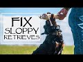 Fix Sloppy Retrieves - YAWA Dog Training Podcast: Episode 39 Question 2