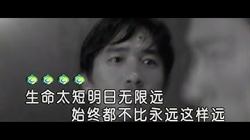 刘德华&梁朝伟 无间道 粤语