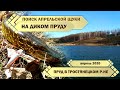 РЫБАЛКА НА ЩУКУ ВЕСНОЙ! Щука на ВОБЛЕР. ТРОЕ В СТРЕМНОЙ ЛОДКЕ!!!