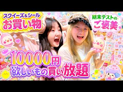 [Squishy & Sticker Shopping] $100 Challenge: Unlimited Shopping Spree Reward for Working Hard on ...