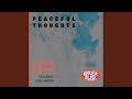 Peaceful thoughts feat layal watfeh modaji remix