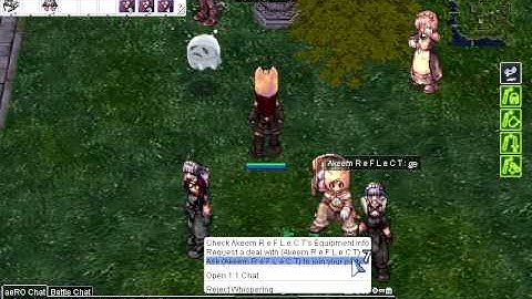 aeRO Gaming not Bug Character Party