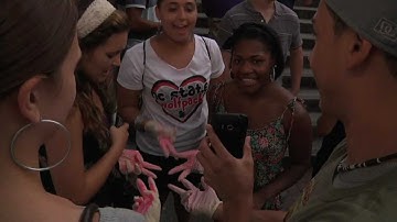 NC State University Respect the Pack