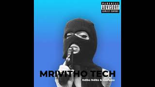 2Souls (Ndibo Ndibs & Lowbass Djy) - Mrivitho Tech