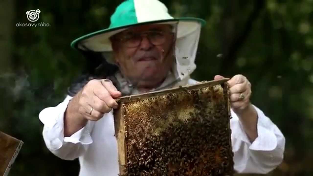 Ako sa vyrába med - www.akosavyraba.sk