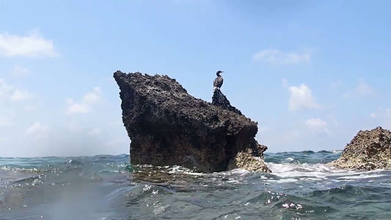 Akamas, Latchi,Cyprus snorkeling