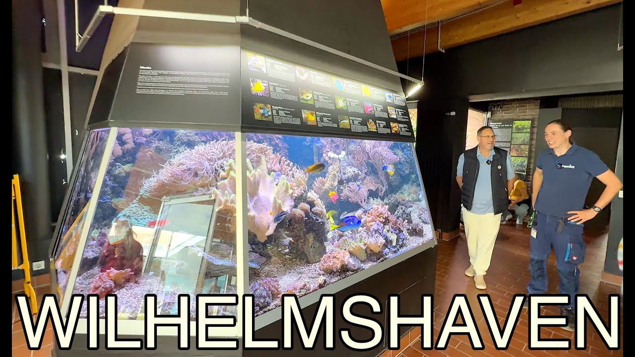 Das AQUARIUM Wilhelmshaven| Meerwasser gab es auch | Frohe Weihnachten euch allen.