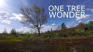 One Tree Wonder Challenge / FPV Freestyle