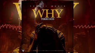 Terro Don - WHY (Official Audio)