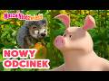 Masza i Niedźwiedź ✨ Nowy odcinek ✨ Kocha mnie czy nie? 🌸❓ Masha and the Bear