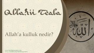 Allaha Kulluk Nedir?