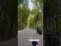 The Road of Tree 🌲🌴 Khulna Cantonment Road #bike