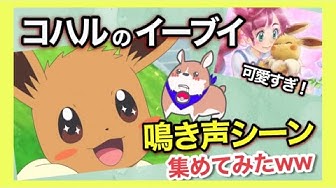イーブイ Youtube