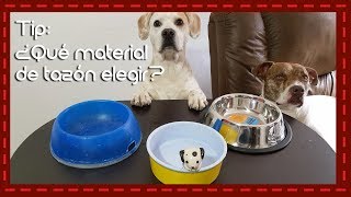 Tip: ¿Qué material de tazón/plato para perro o gato elegir?